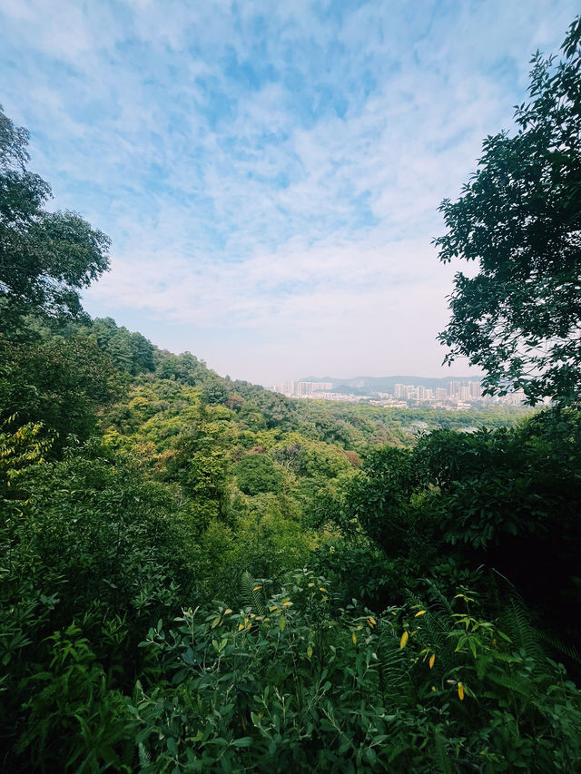 Baiyun Mountain: Your Epic Nature Retreat Near Guangzhou 🌄🌳