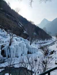 雪中森林日落絕景 嵩山雪景絕美