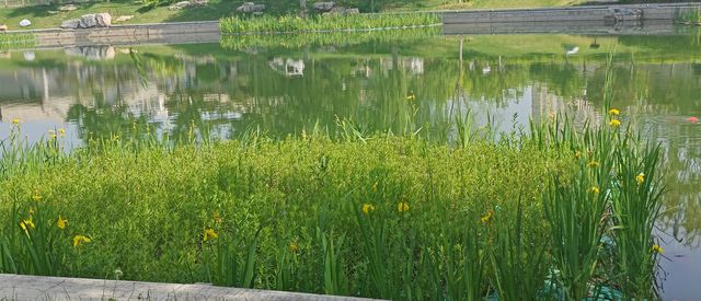 雙塔公園必打卡