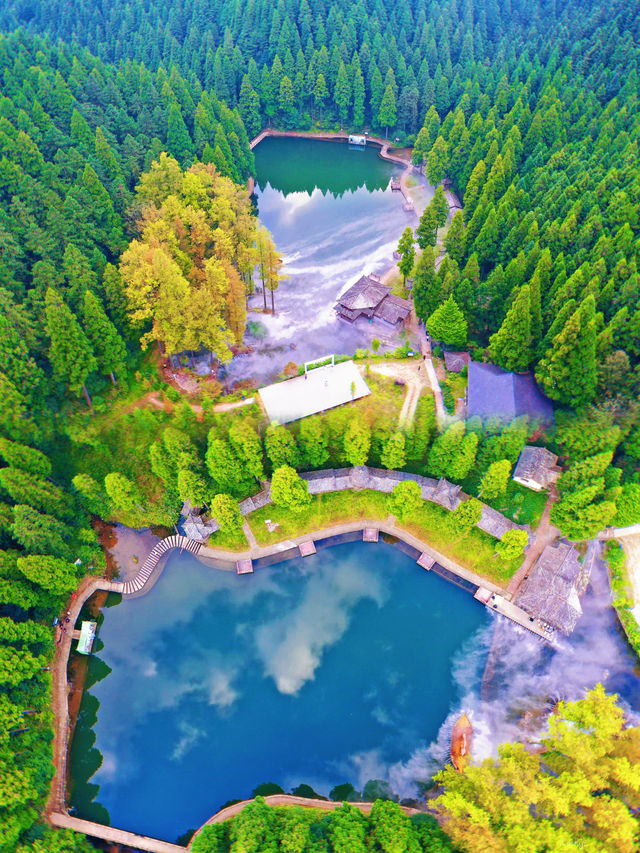 溫州秘境文成銅鈴山雲霧裹著森林氛圍感