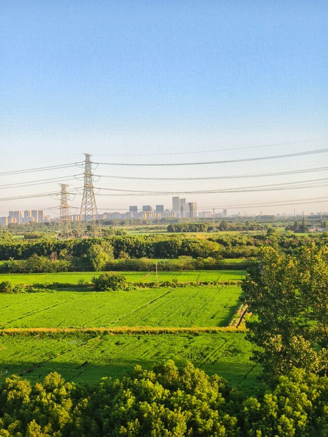 嘉興市    南湖區