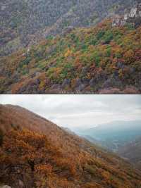 逃離都市！發現阜平太行山深處的神仙秘境