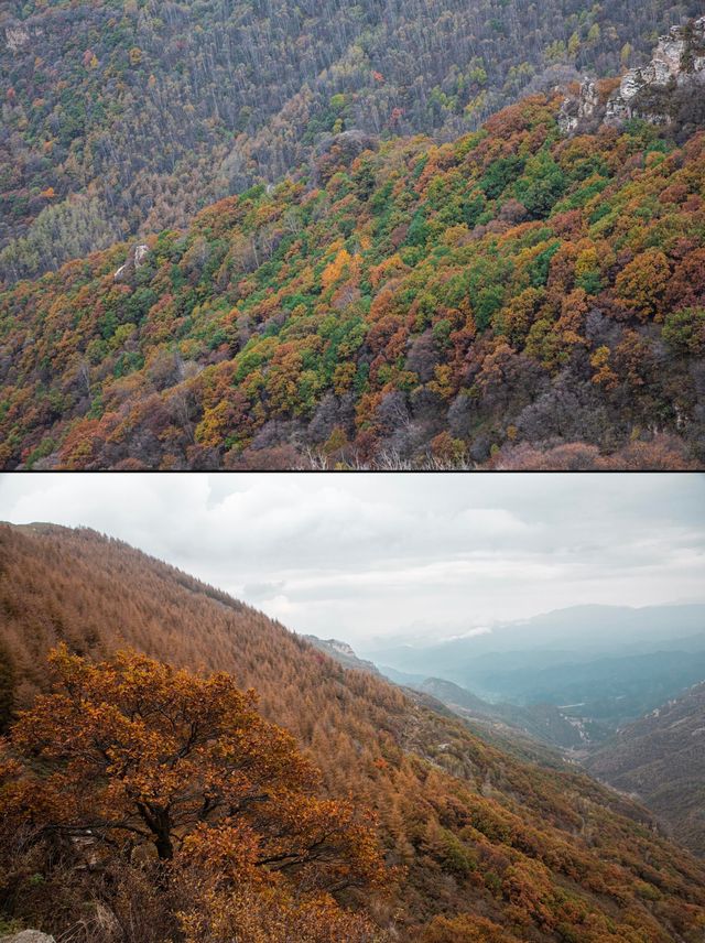 逃離都市！發現阜平太行山深處的神仙秘境