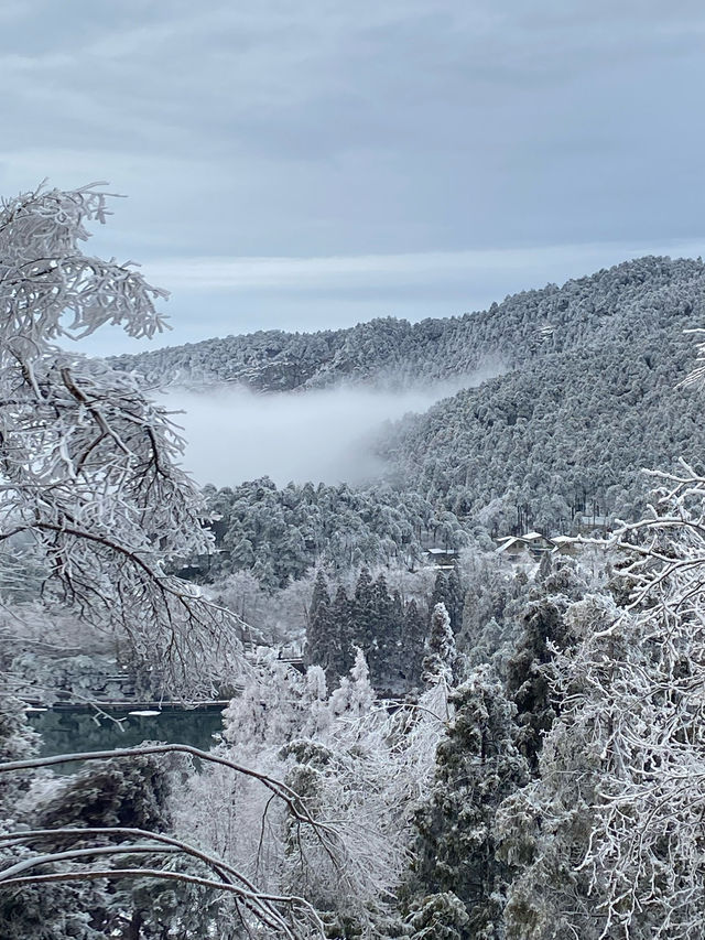 冰雪廬山!霧淞雲海仙境小眾機位全揭秘 冰雪廬山!霧淞雲海仙境小眾機位全揭秘