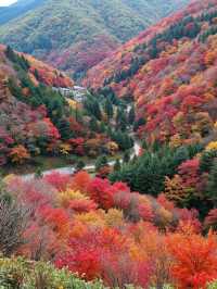 崆峒山秋色如畫
