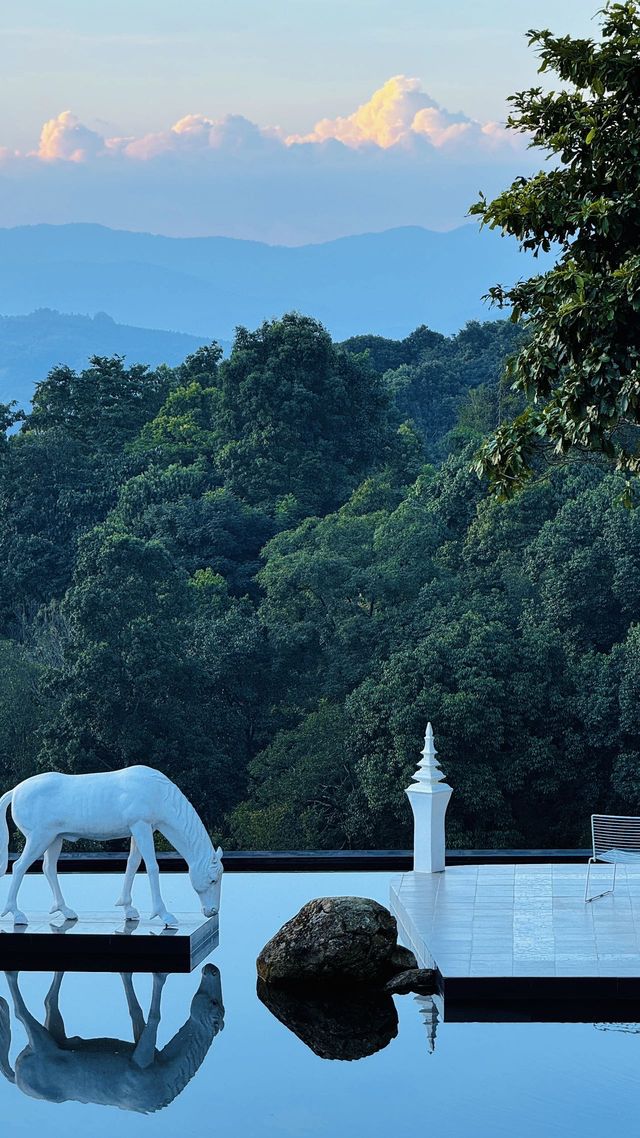 清晨被雲海喚醒 山頂民宿令人心動 清晨被雲海喚醒 山頂民宿令人心動