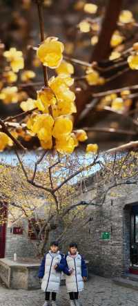 淮安||希望能把你帶火跟著課本去旅行