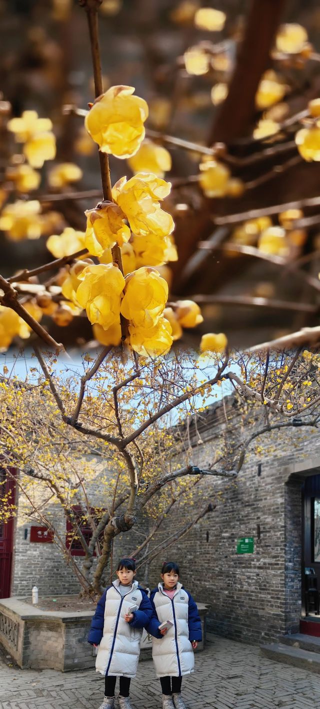 淮安||希望能把你帶火跟著課本去旅行 淮安||希望能把你帶火跟著課本去旅行