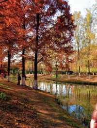 秋日限定西安浐灞濕地公園美翻了免費童話秘境打卡攻略