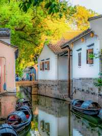 紹興秋日限定：20min高鐵直達，銀杏古寺醉江南