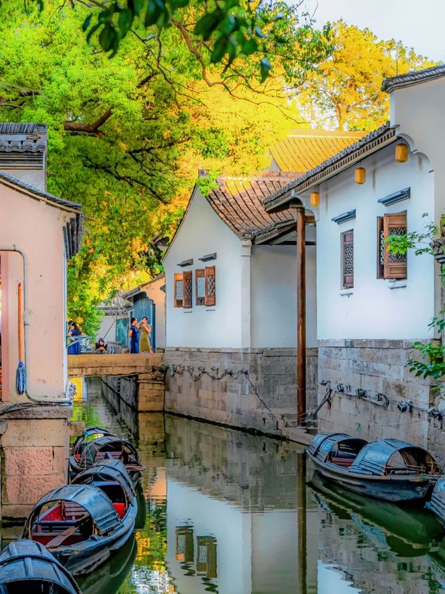 紹興秋日限定：20min高鐵直達，銀杏古寺醉江南