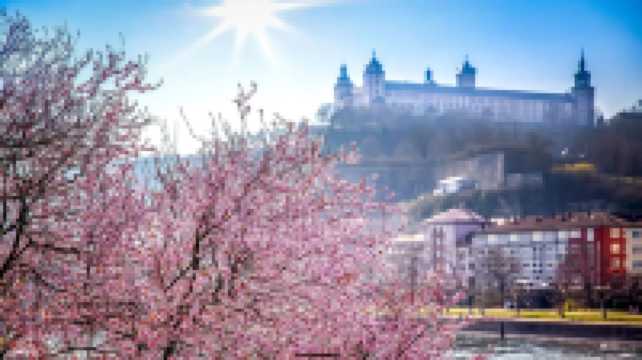 邂逅最大鬱金香花海歐洲超深度賞花!