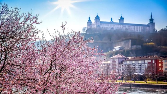 邂逅最大鬱金香花海歐洲超深度賞花! 邂逅最大鬱金香花海歐洲超深度賞花!