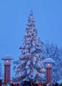 芬蘭冬日童話藍粉天空下的浪漫極光之夜