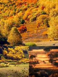 壩上秋色絕美打卡點，這個季節最適合