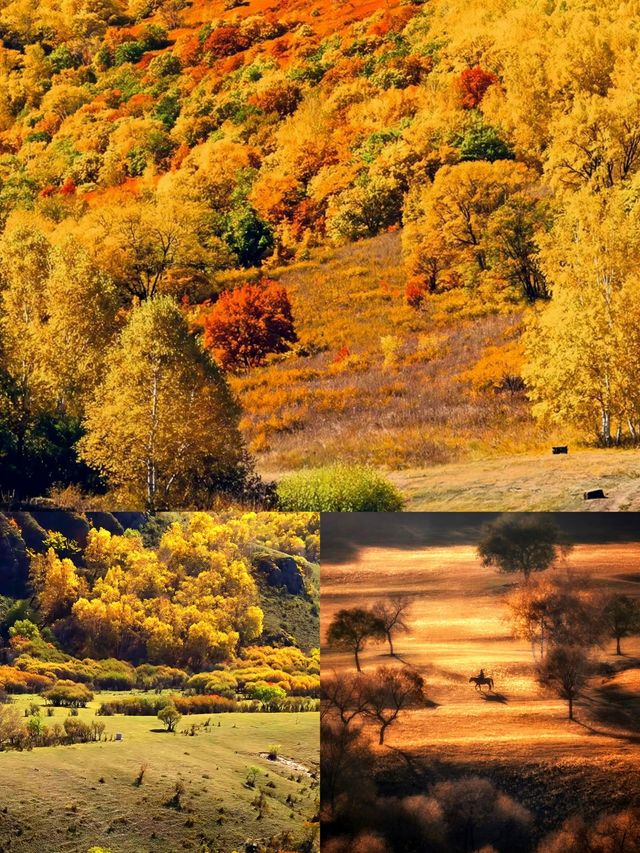 壩上秋色絕美打卡點，這個季節最適合