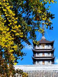 真如寺的銀杏還要等等,美味齋飯卻不用等