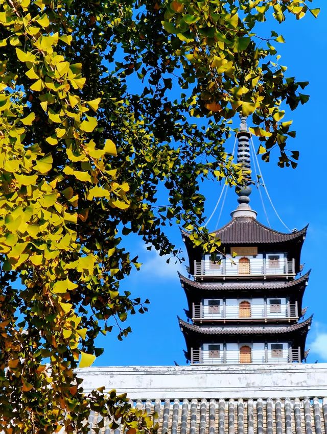 真如寺的銀杏還要等等,美味齋飯卻不用等 真如寺的銀杏還要等等,美味齋飯卻不用等