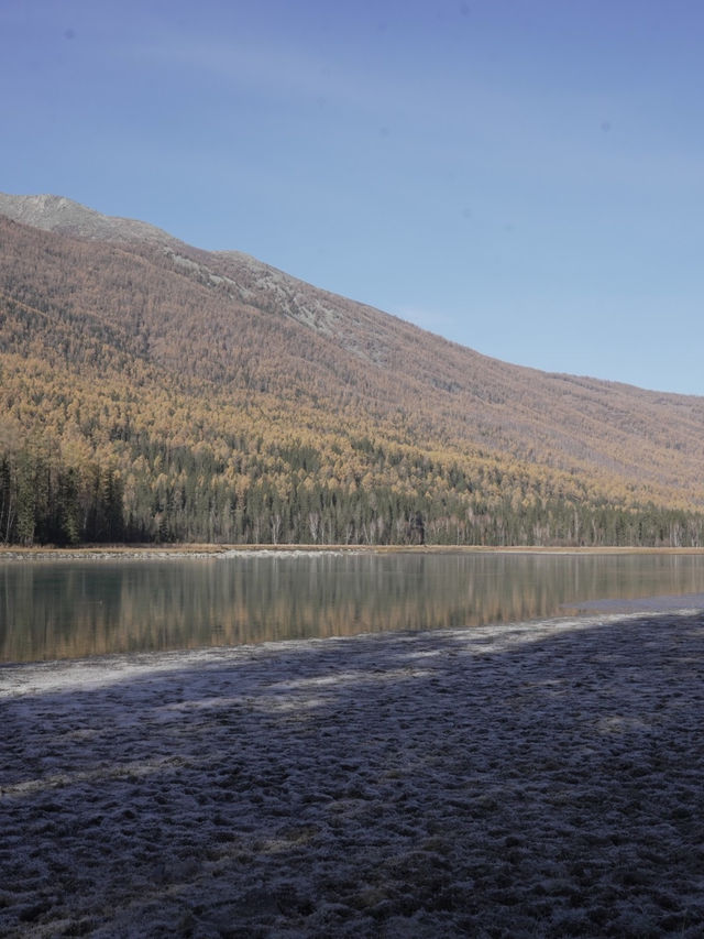 新疆喀納斯秋日童話遇見雪山松鼠的治癒時刻 新疆喀納斯秋日童話遇見雪山松鼠的治癒時刻