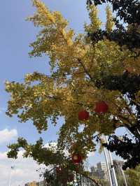 麒麟城的初冬,是打翻的調色盤