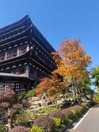 浙江衢州根宮佛國根與佛交織的夢幻之境