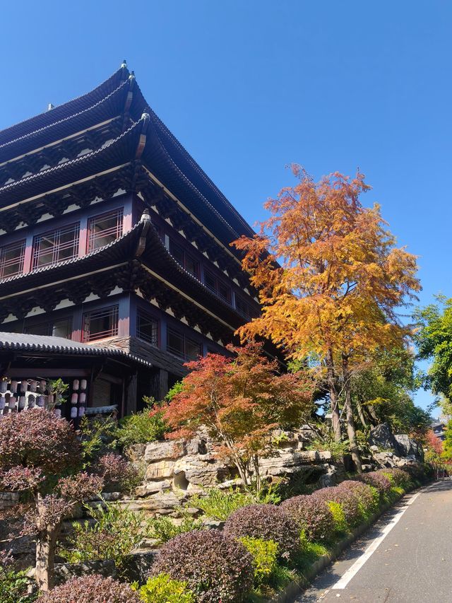 浙江衢州根宮佛國根與佛交織的夢幻之境