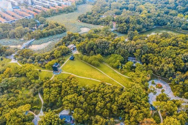 柳州公園漫遊指南：在綠意中邂逅歷史與自然
