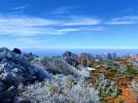 秋日必爬黃山絕美路線