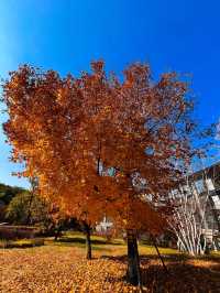 瀋陽必爬棋盤山攻略