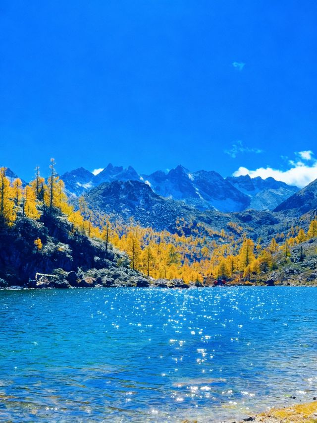 四川黨嶺徒步7日全記錄，秘境穿越指南