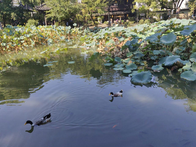 紹興沈園|千年愛情絕唱 紹興沈園|千年愛情絕唱