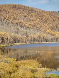 阿爾山國家森林公園