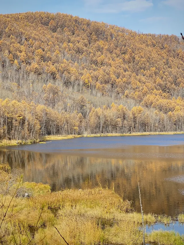 阿爾山國家森林公園