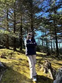 不下雪的轎子雪山