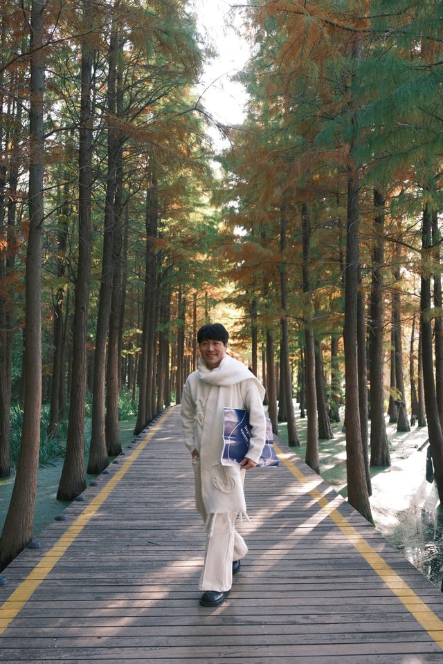 徐州拍照王炸！市區藏「抹茶綠童話秘境」0元出片