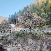 黃南林坑古村落｜藏著一整個絕美曬秋畫卷！