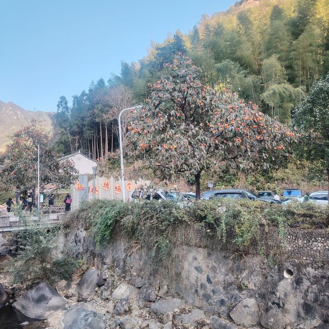 黃南林坑古村落｜藏著一整個絕美曬秋畫卷！