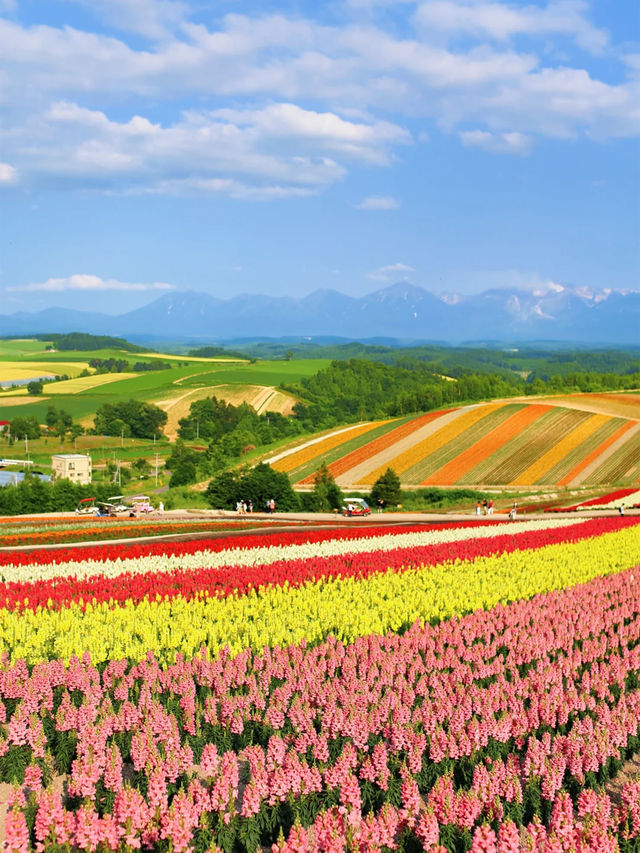 速速保存！夏天去20℃北海道這樣玩封神