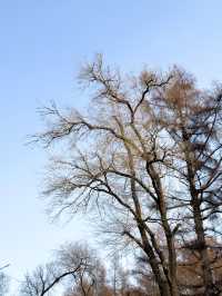 淨月潭：在冷杉林與月亮之間豢養一汪液態翡翠