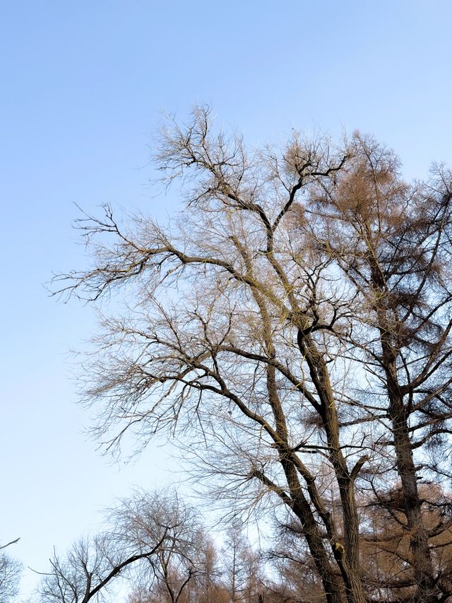 淨月潭：在冷杉林與月亮之間豢養一汪液態翡翠