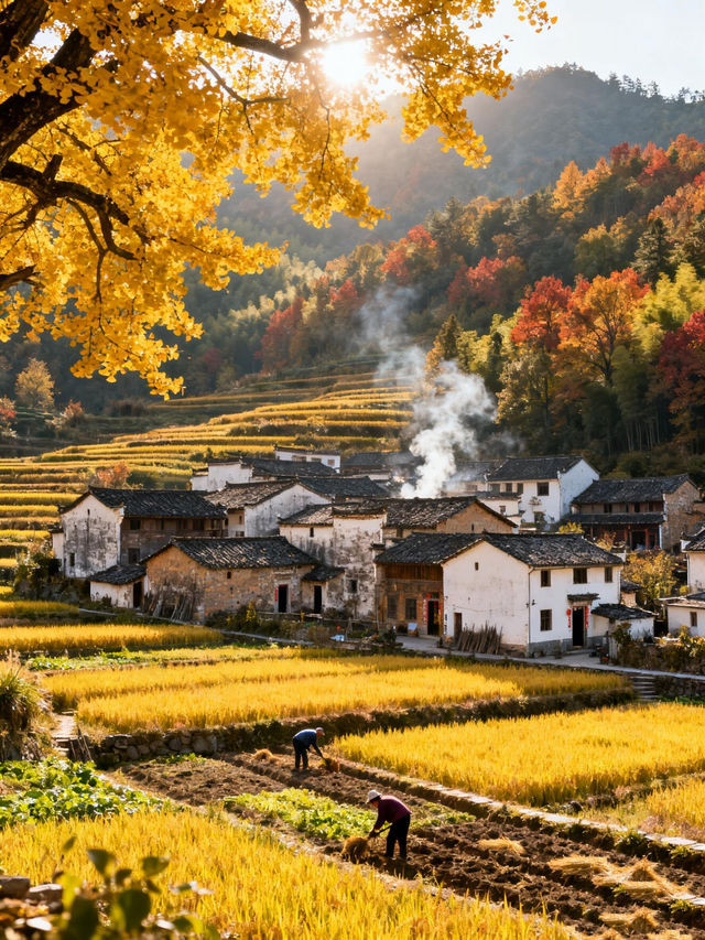 秋色限定江浙滬8個絕美古村落，避開人潮賞秋攻略