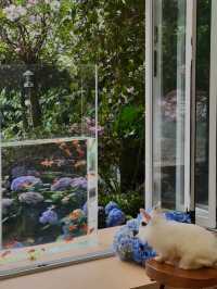 城市中心的氧吧🫧