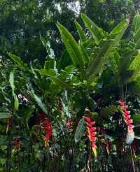 勐臘旅居優選！這家智能酒店，承包你的雨林漫遊與地道風味