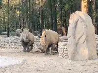 北京大興野生動物園-值得N刷