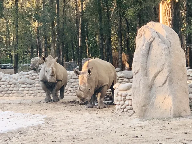 北京大興野生動物園-值得N刷
