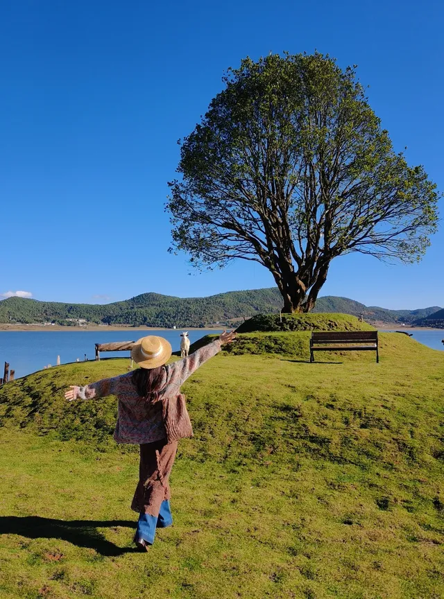 麗江+香格里拉+梅里雪山8日遊 麗江+香格里拉+梅里雪山8日遊