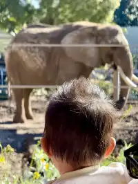 感恩節三天非特種兵帶娃San Diego遊推薦