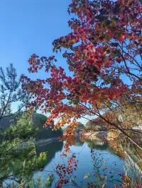 千島湖②｜秋冬環湖自駕