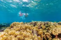 最後召集！聖誕新年大堡礁豪華4日含機票