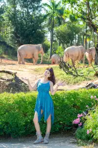 清遠長隆森林王國跟拍竟然用不了300